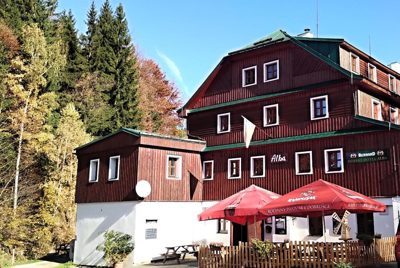 Hotel Alba Destné v Orlických horách Exterior foto